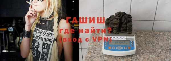индика Волоколамск