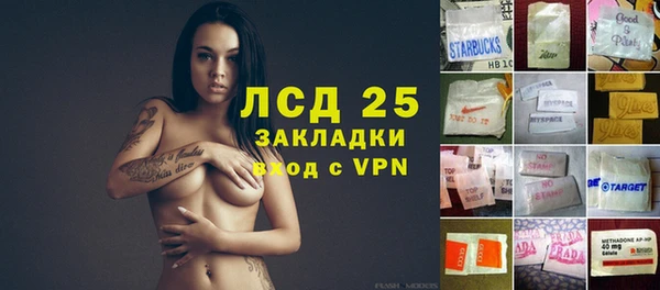 индика Волоколамск