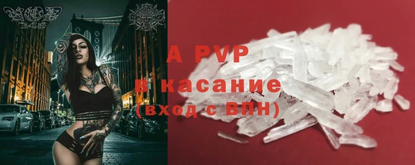 индика Волоколамск