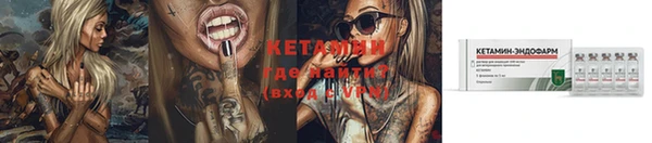 индика Волоколамск
