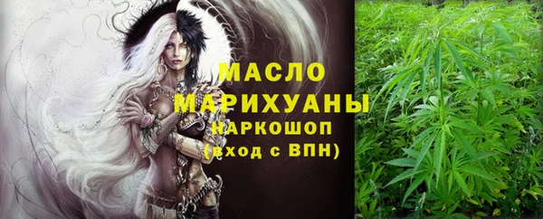индика Волоколамск