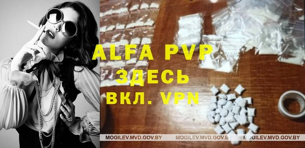 индика Волоколамск