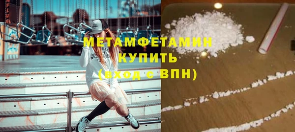 индика Волоколамск