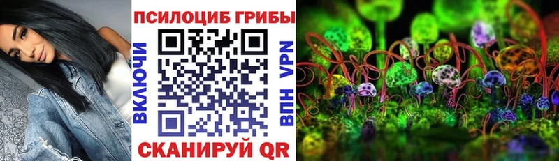 Псилоцибиновые грибы мухоморы  Купить закладки  Кубинка 